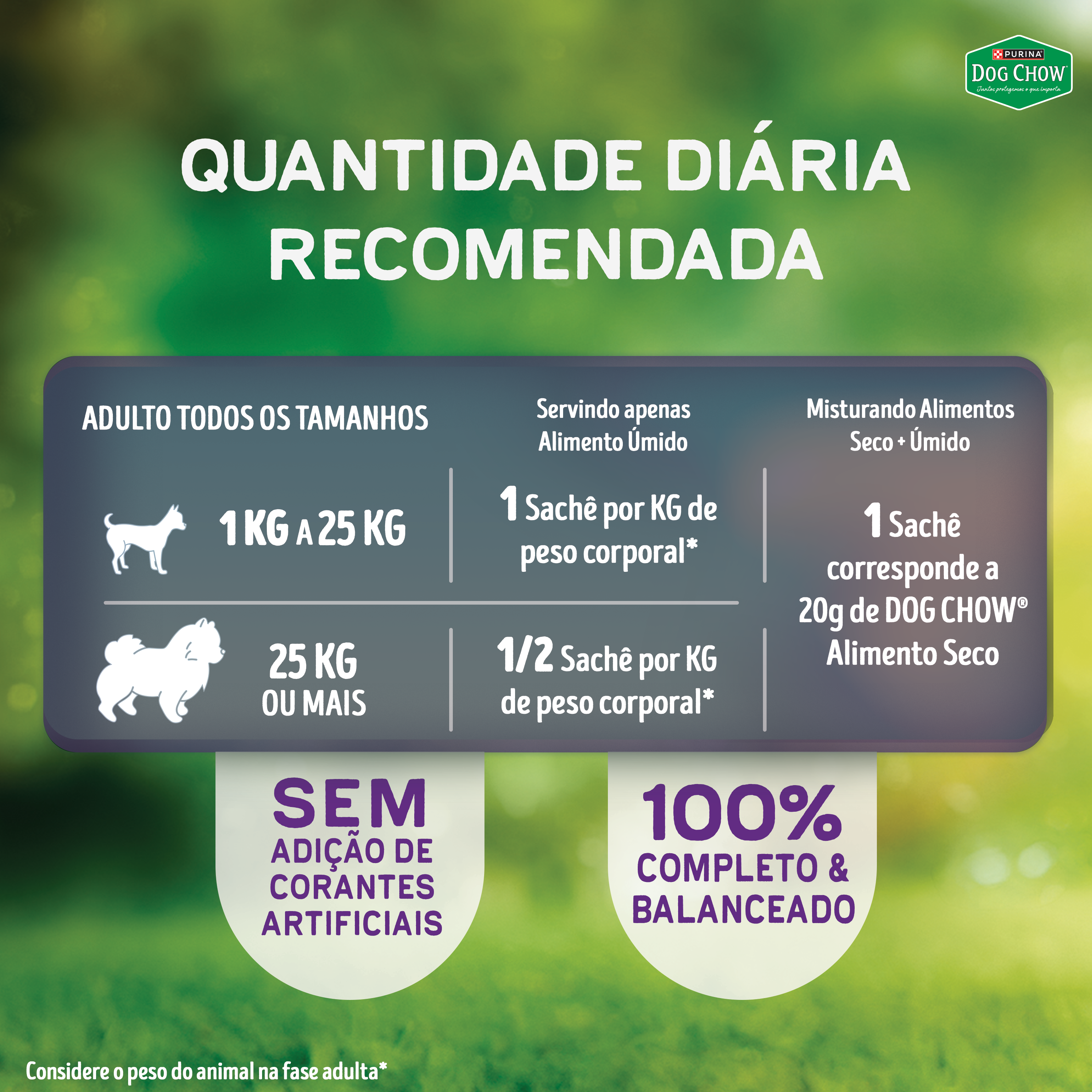 Dog Chow sachê ração úmida para cães adulto tripla proteína carne frango salmão tirinhas 85g