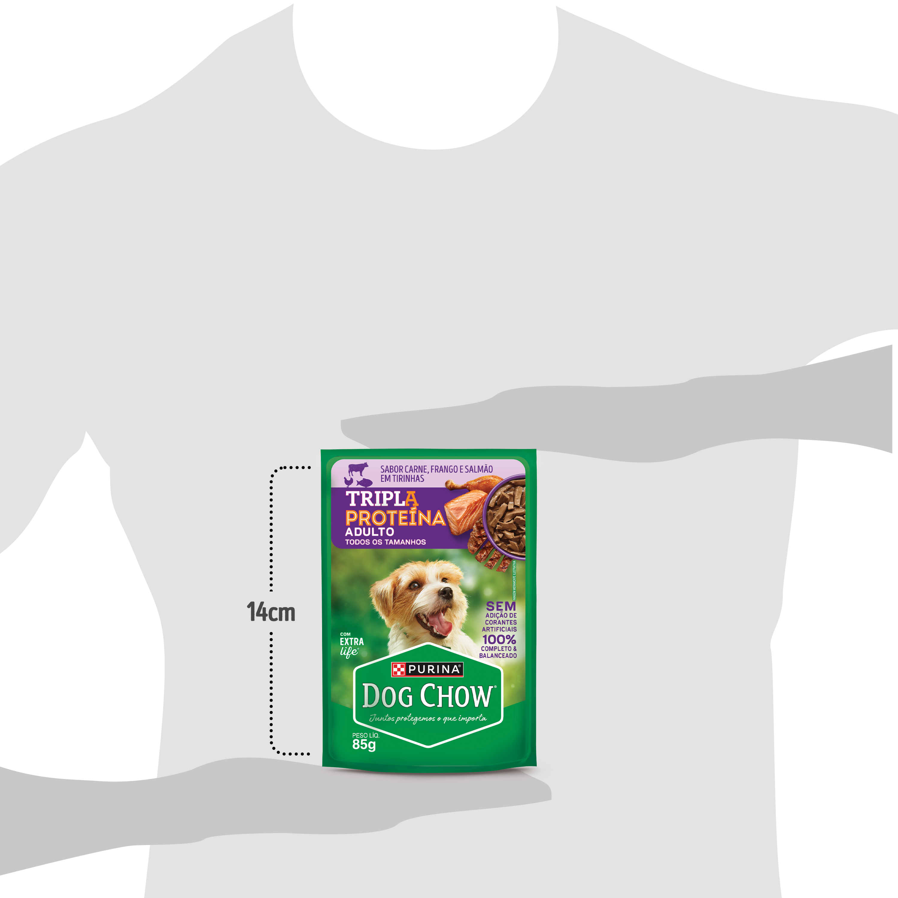 Dog Chow sachê ração úmida para cães adulto tripla proteína carne frango salmão tirinhas 85g