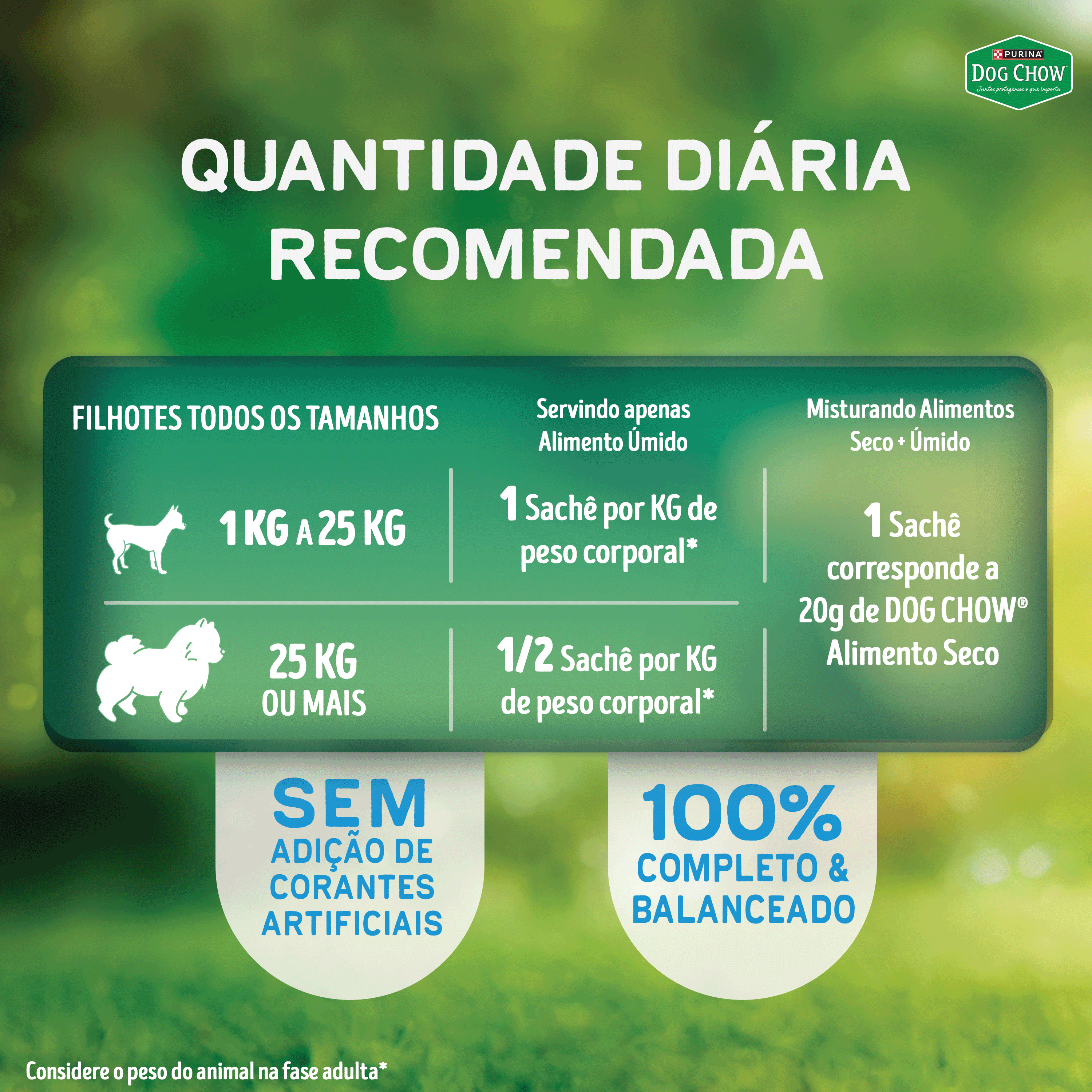 Dog Chow sachê ração úmida para filhotes papinha frango cenoura banana leite 85g