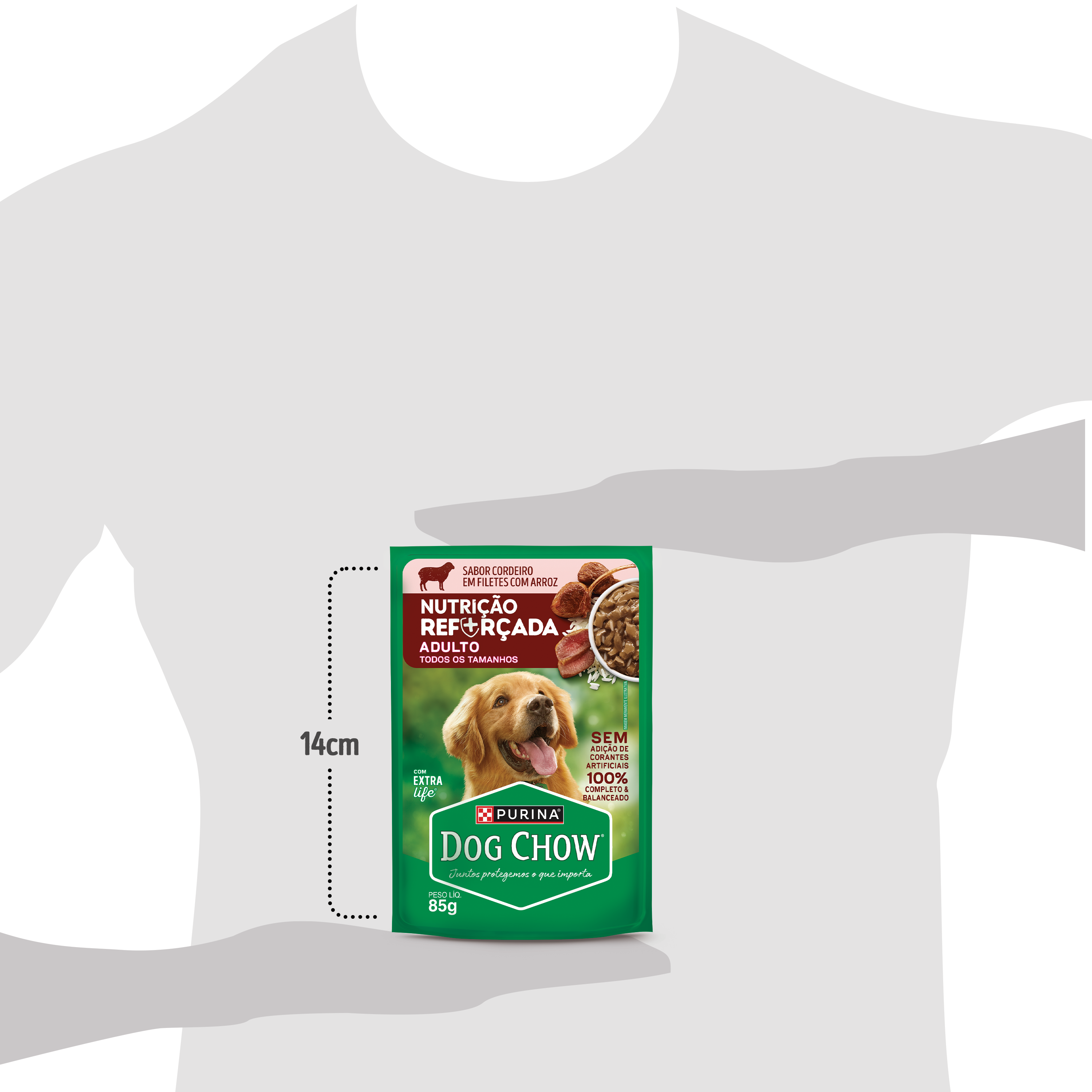Dog Chow sachê ração úmida para cães adulto sabor cordeiro com arroz 85g