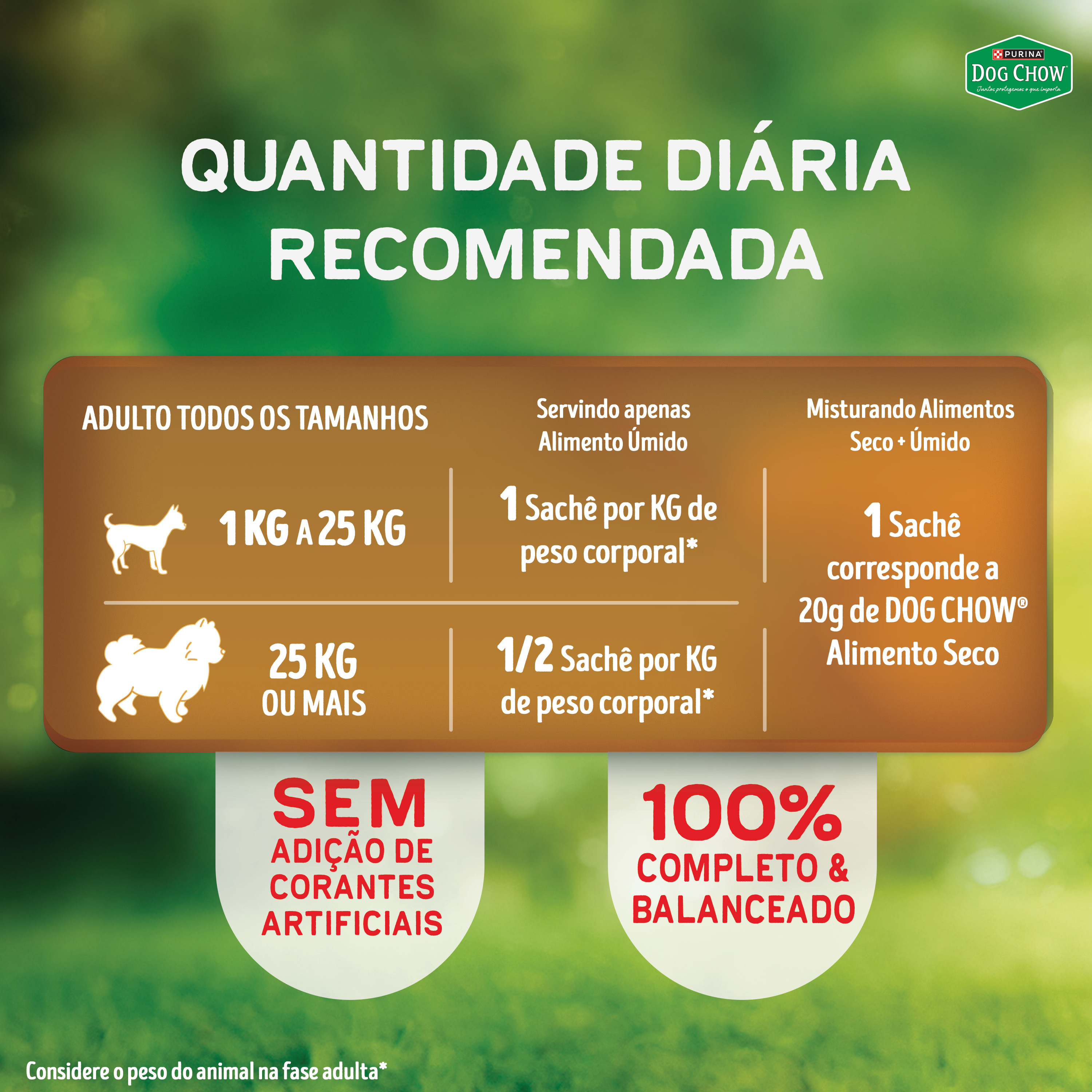 Dog Chow sachê ração úmida para cães adulto sabor carne com arroz 85g