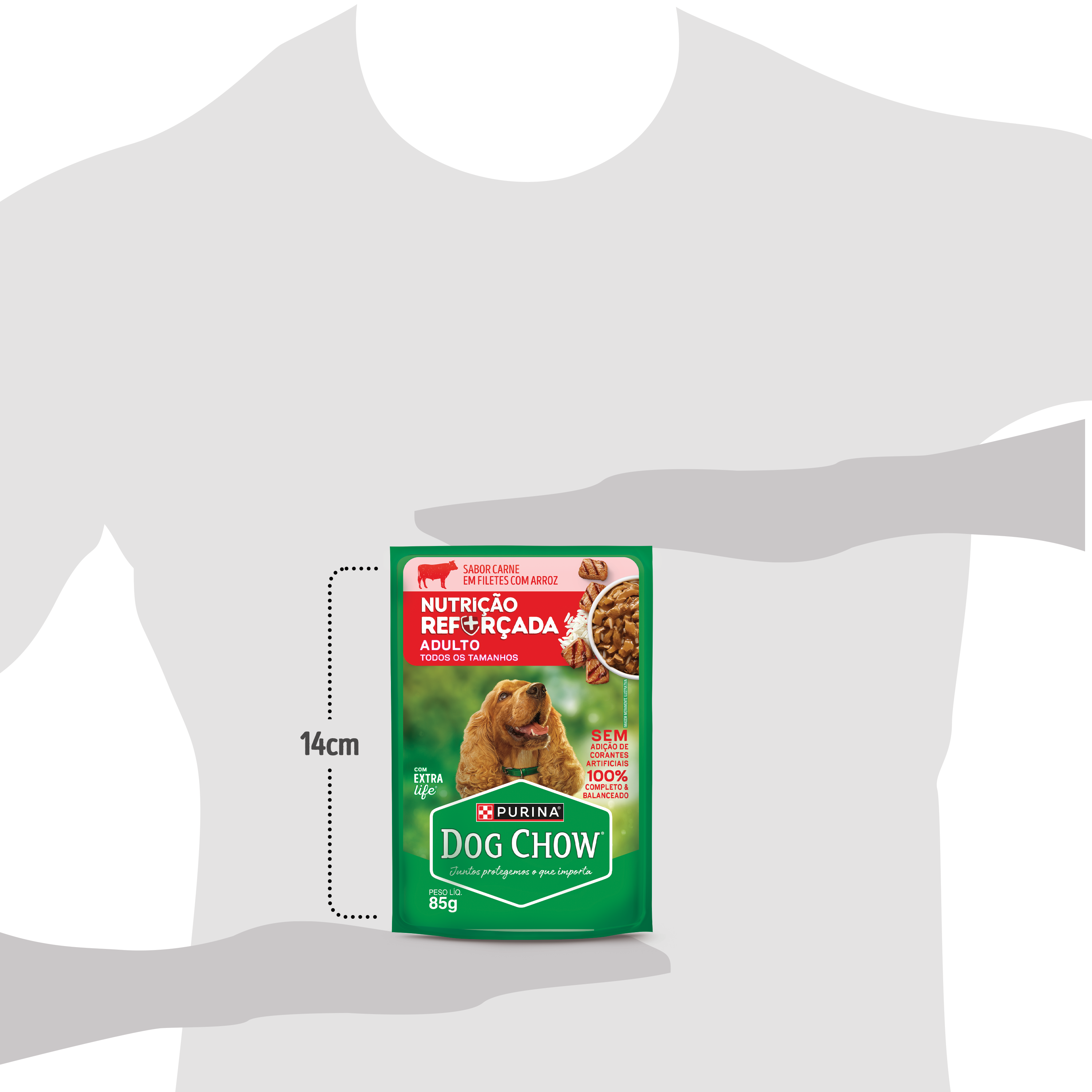 Dog Chow sachê ração úmida para cães adulto sabor carne com arroz 85g