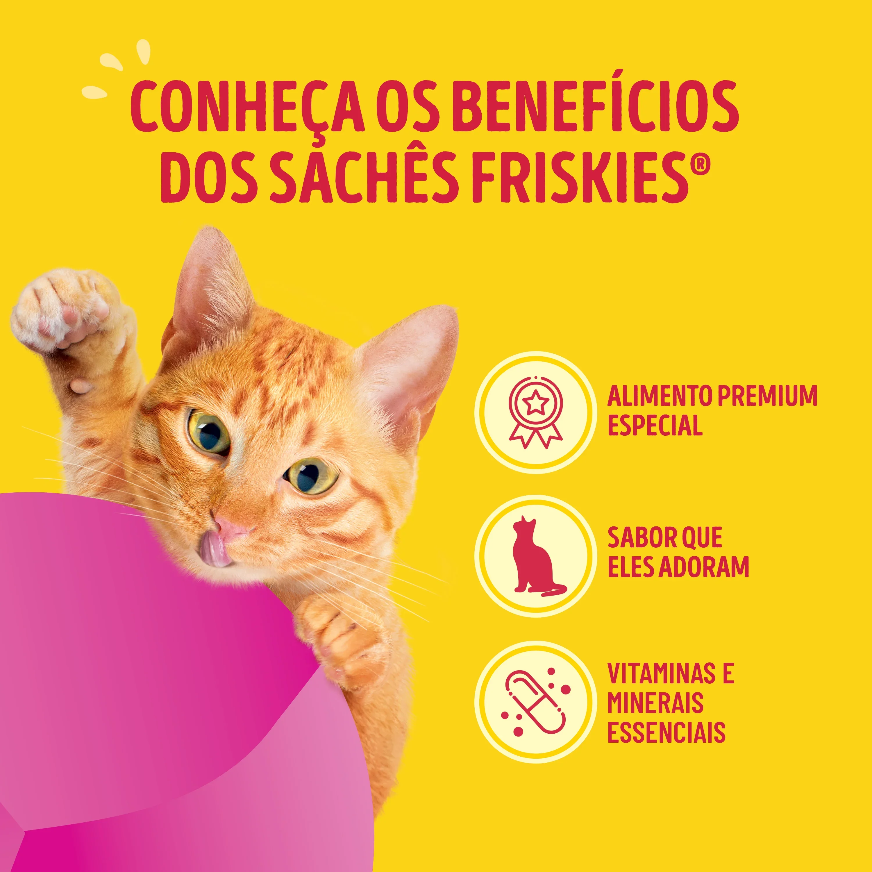 Ração úmida para gatos Friskies Mix de Carnes com molho cremoso, combinação de carne, frango e fígado.
