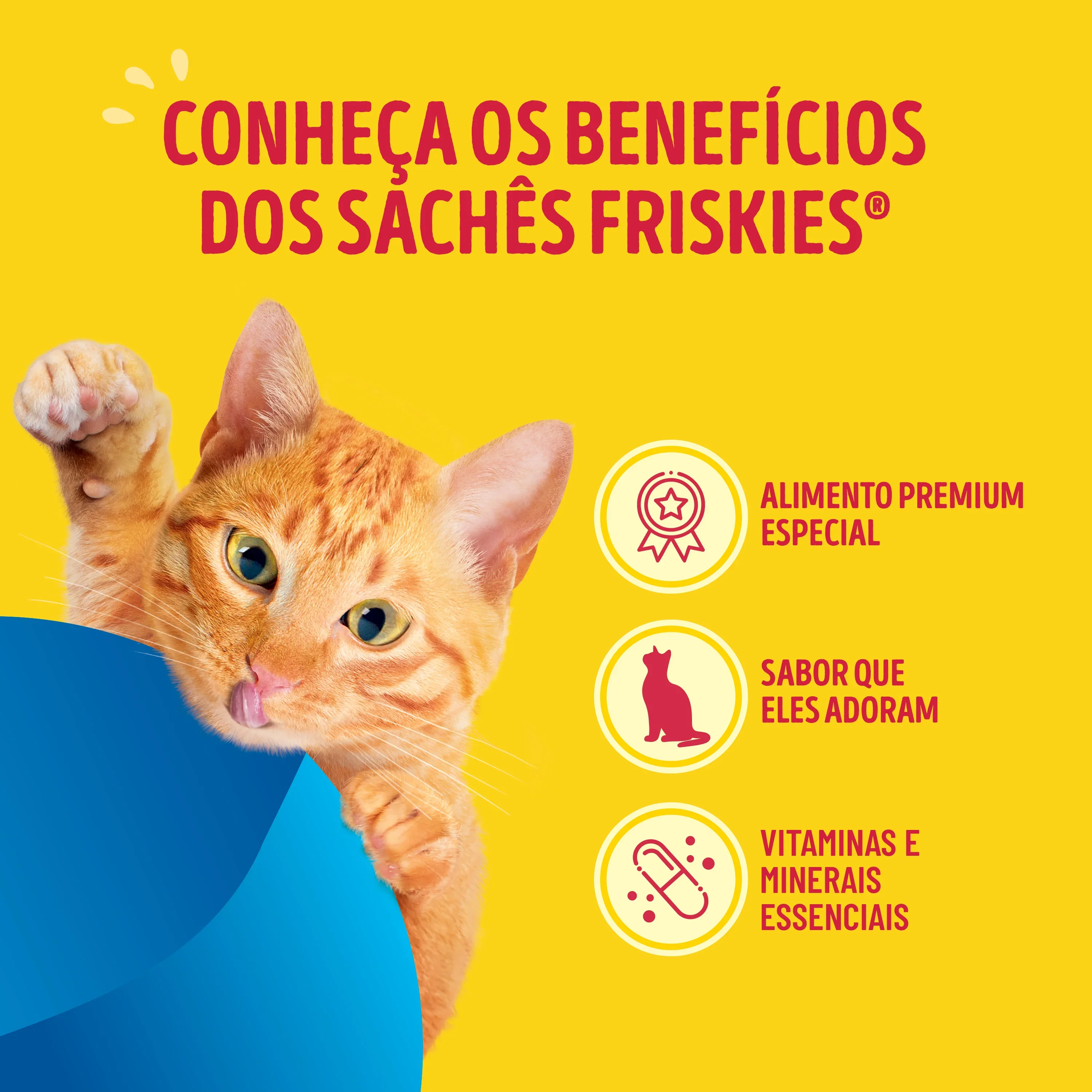 Ração úmida para gatos Friskies Mar de Sabores com molho cremoso, feita com atum, salmão e sardinha.