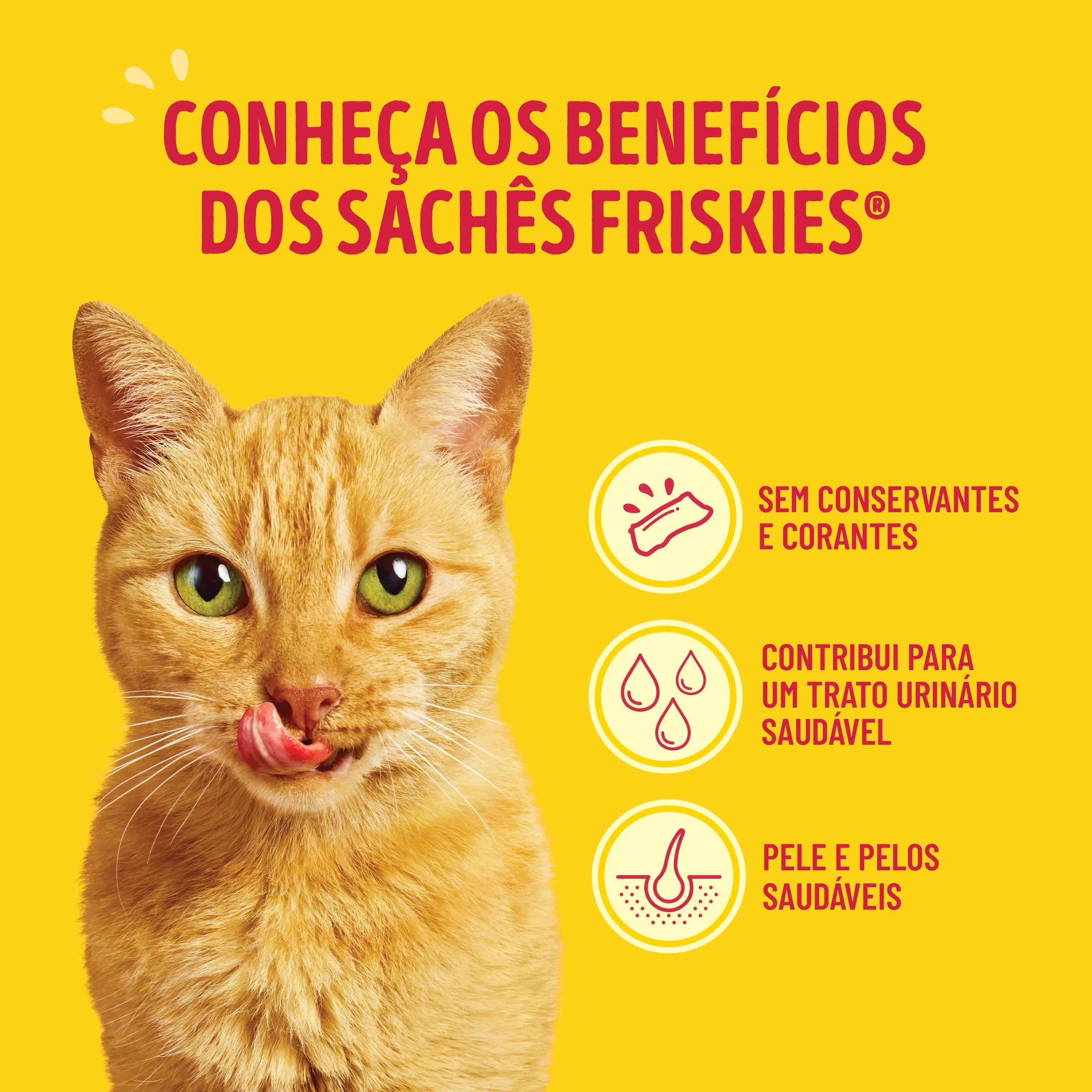 Ração úmida para gatos Friskies Megamix com molho cremoso, de frango, atum, fígado, salmão e sardinha