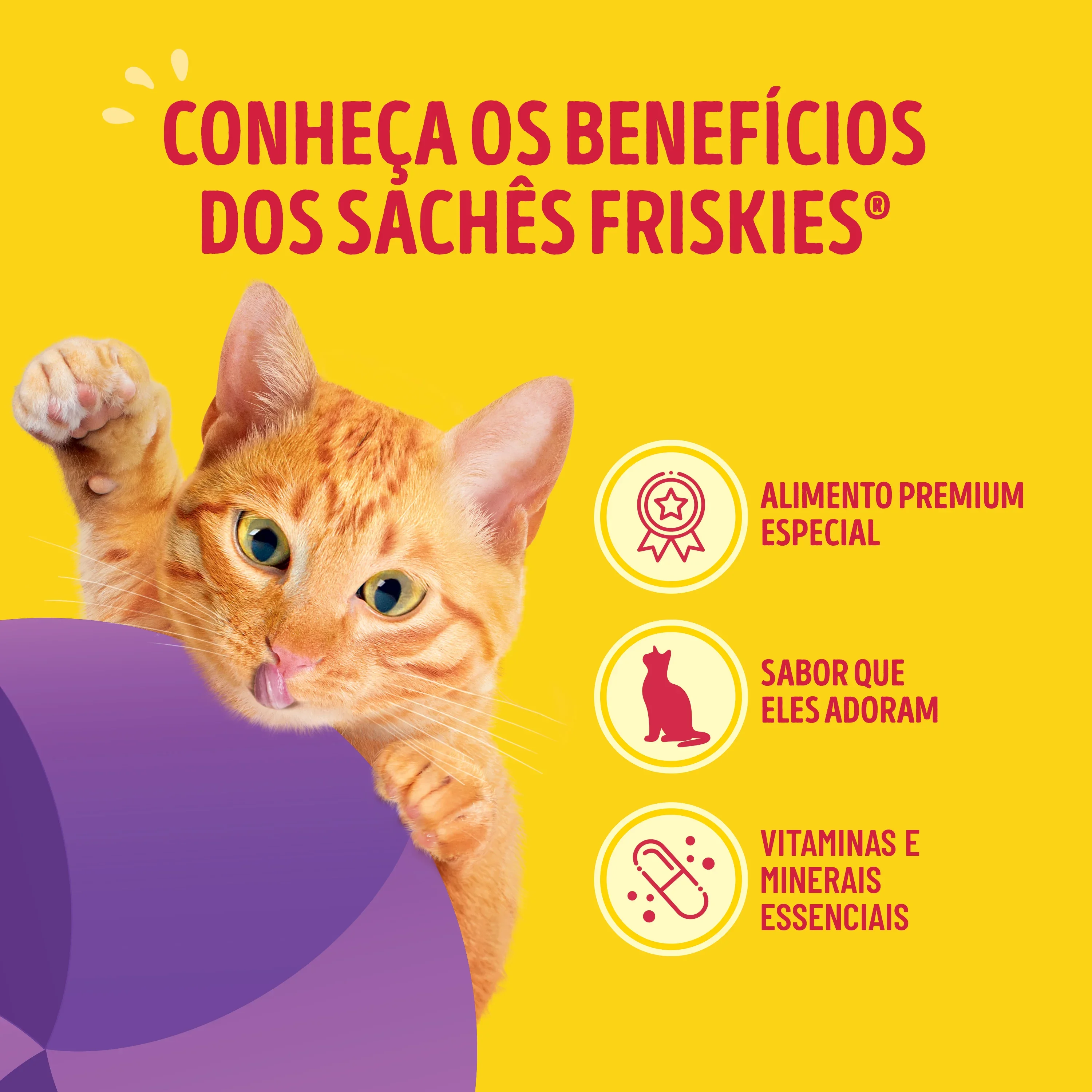 Ração úmida para gatos Friskies Megamix com molho cremoso, de frango, atum, fígado, salmão e sardinha