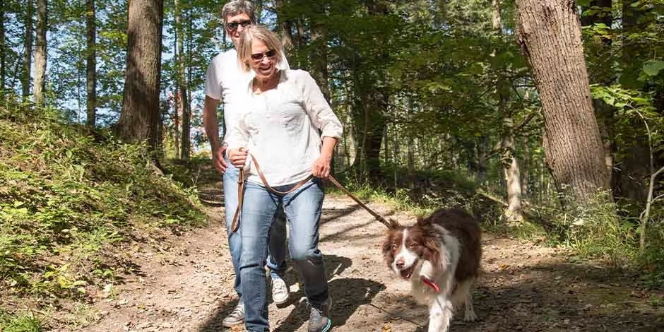 A Ração para cachorro idoso e o exercício são fundamentais. Cachorro correndo.