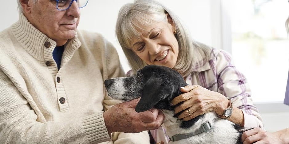 Família escolhendo ração para cachorro idoso