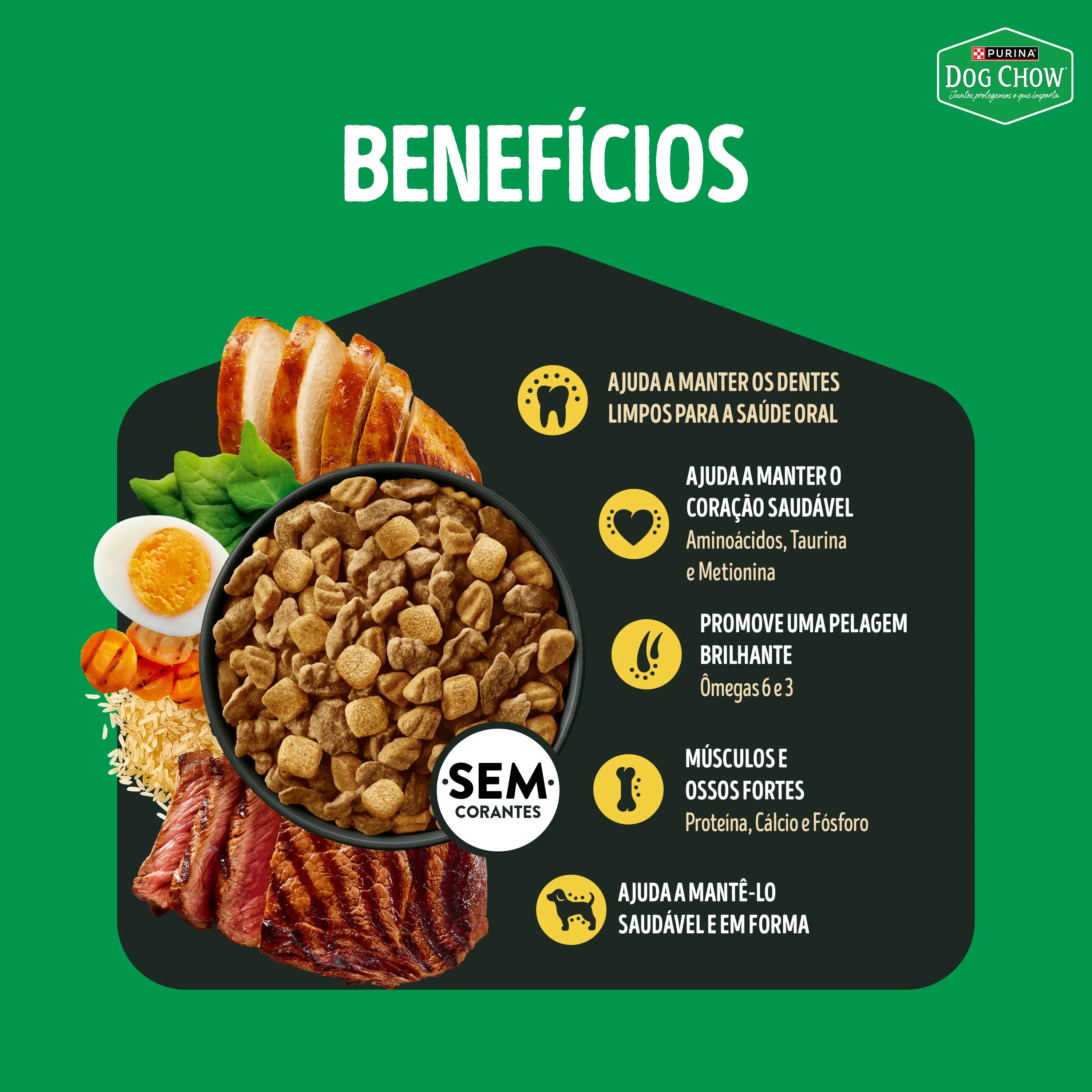 Embalagem de Dog Chow Alta Proteína Ração para Cães Adultos Purina