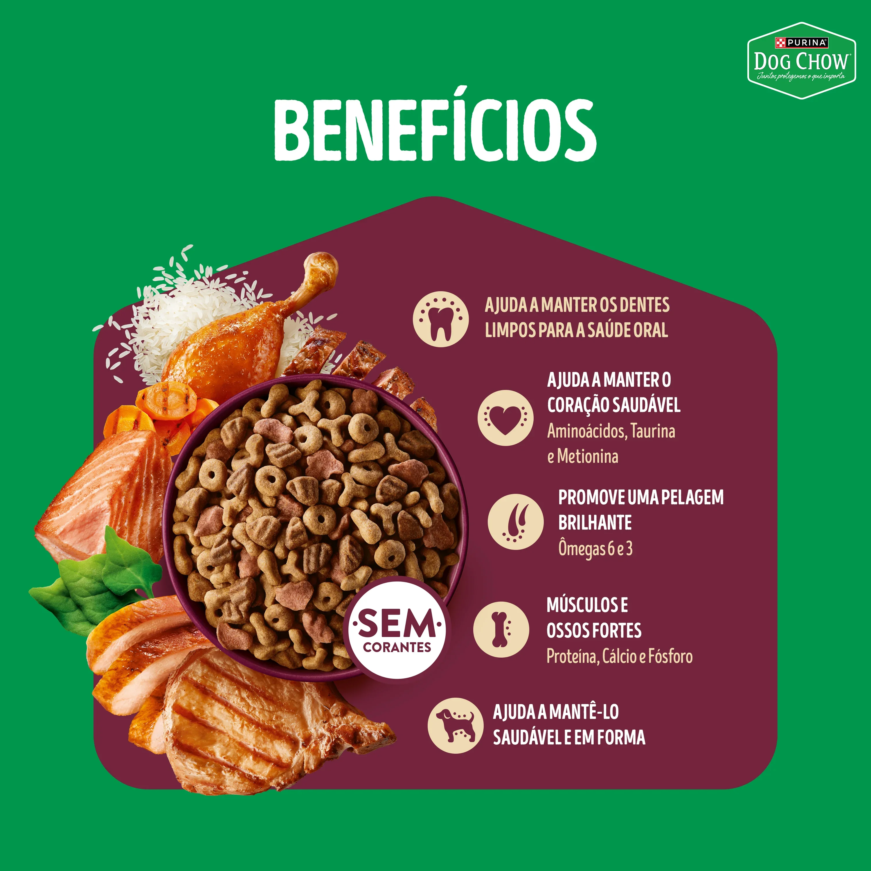 Embalagem de Dog Chow Multiproteína Ração para Cães Adultos Purina
