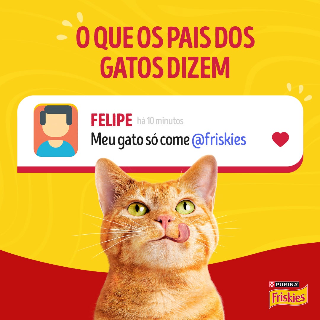 Ração úmida para gatos adultos Friskies® Patê Sensações sabor Frango