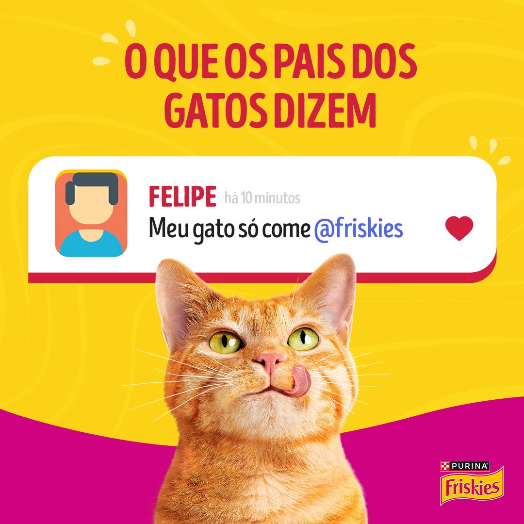 Ração úmida para gatos adultos Friskies® Patê Sensações sabor Carne