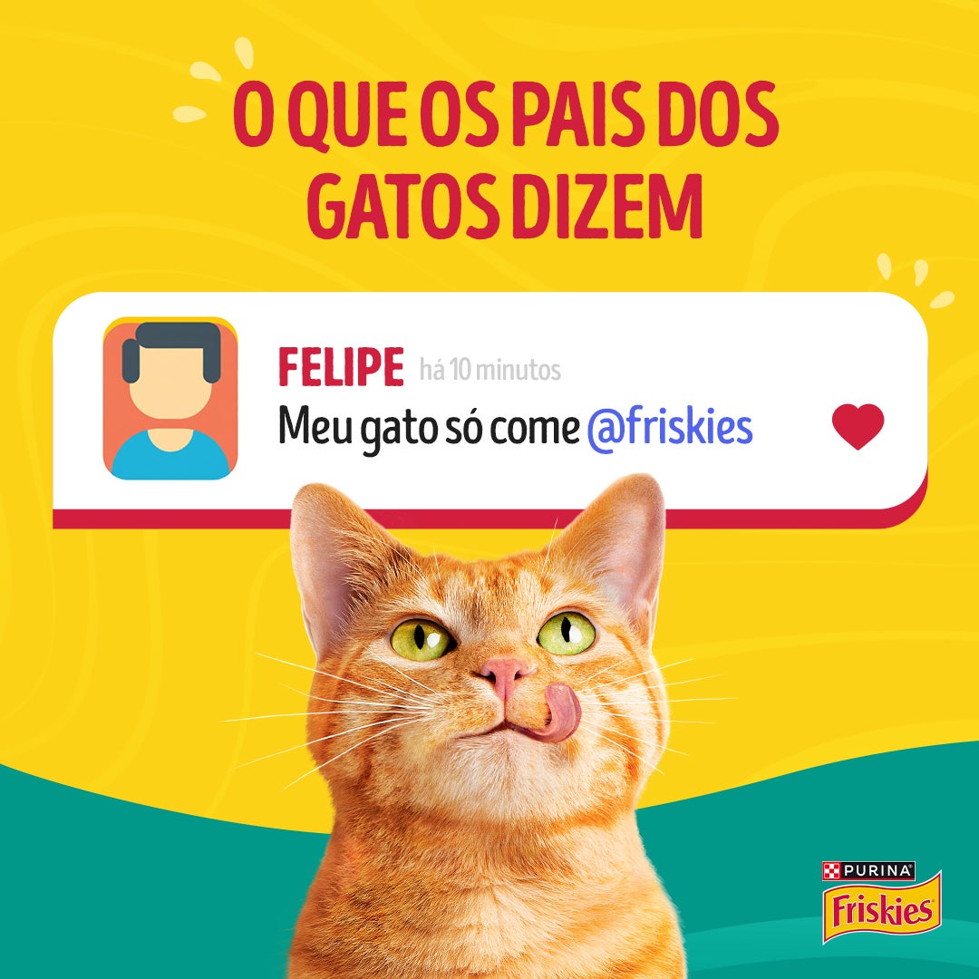 Ração úmida para gatos adultos Friskies® Patê Sensações sabor Atum