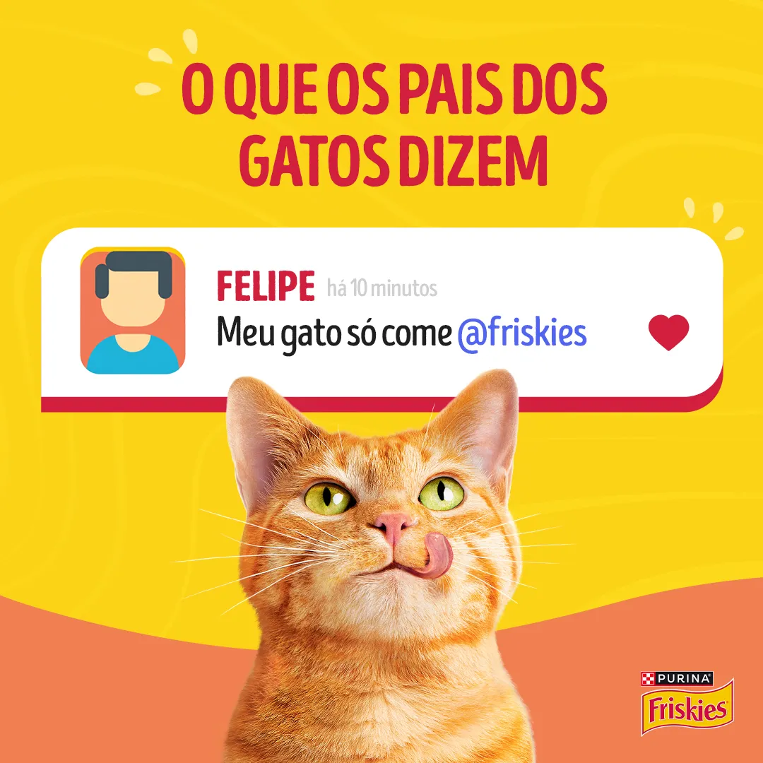 Ração úmida para gatos adultos Friskies® Patê Sensações sabor Salmão
