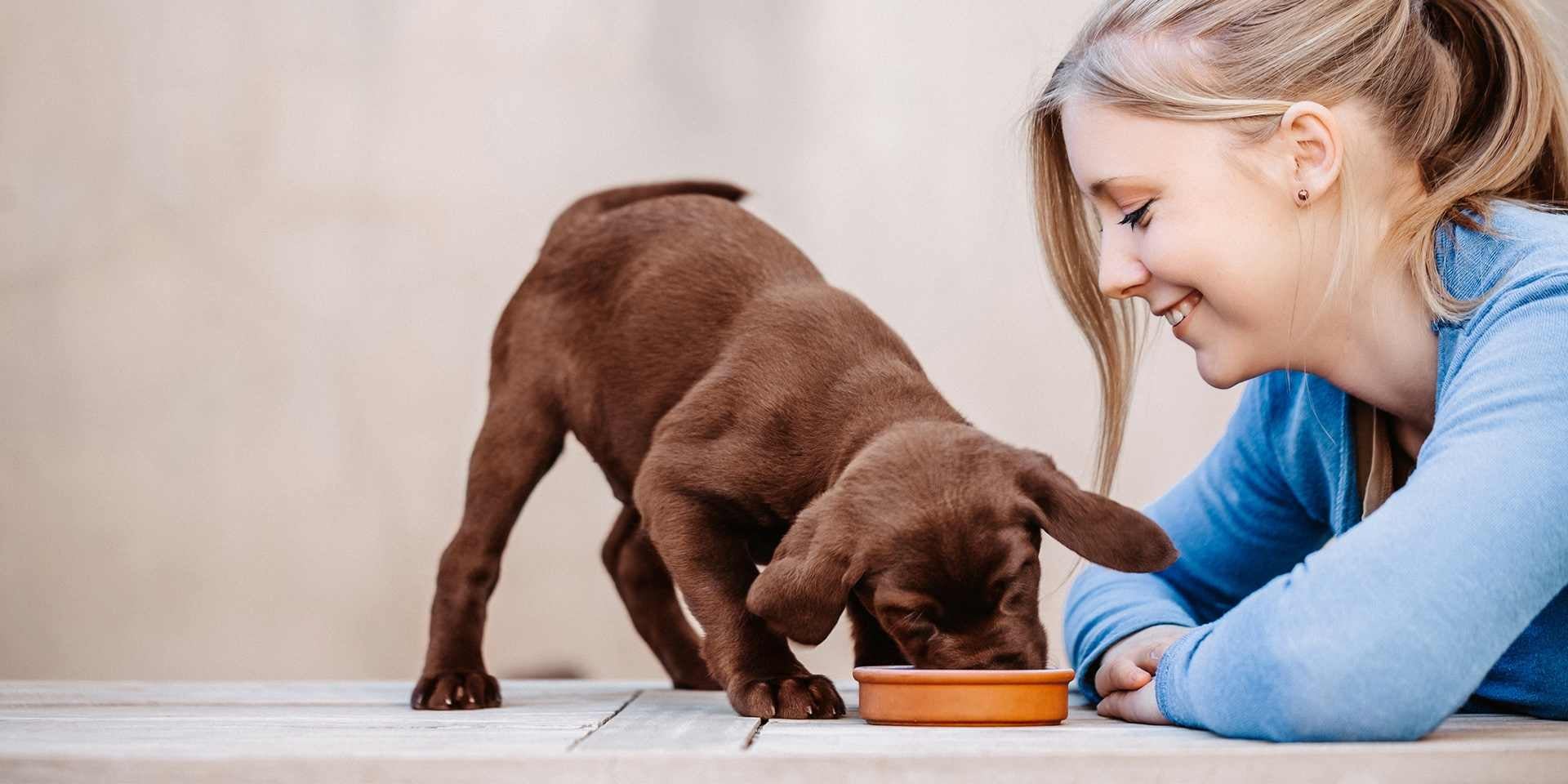 Ração hipoalergênica para cães, filhote de cachorro comendo