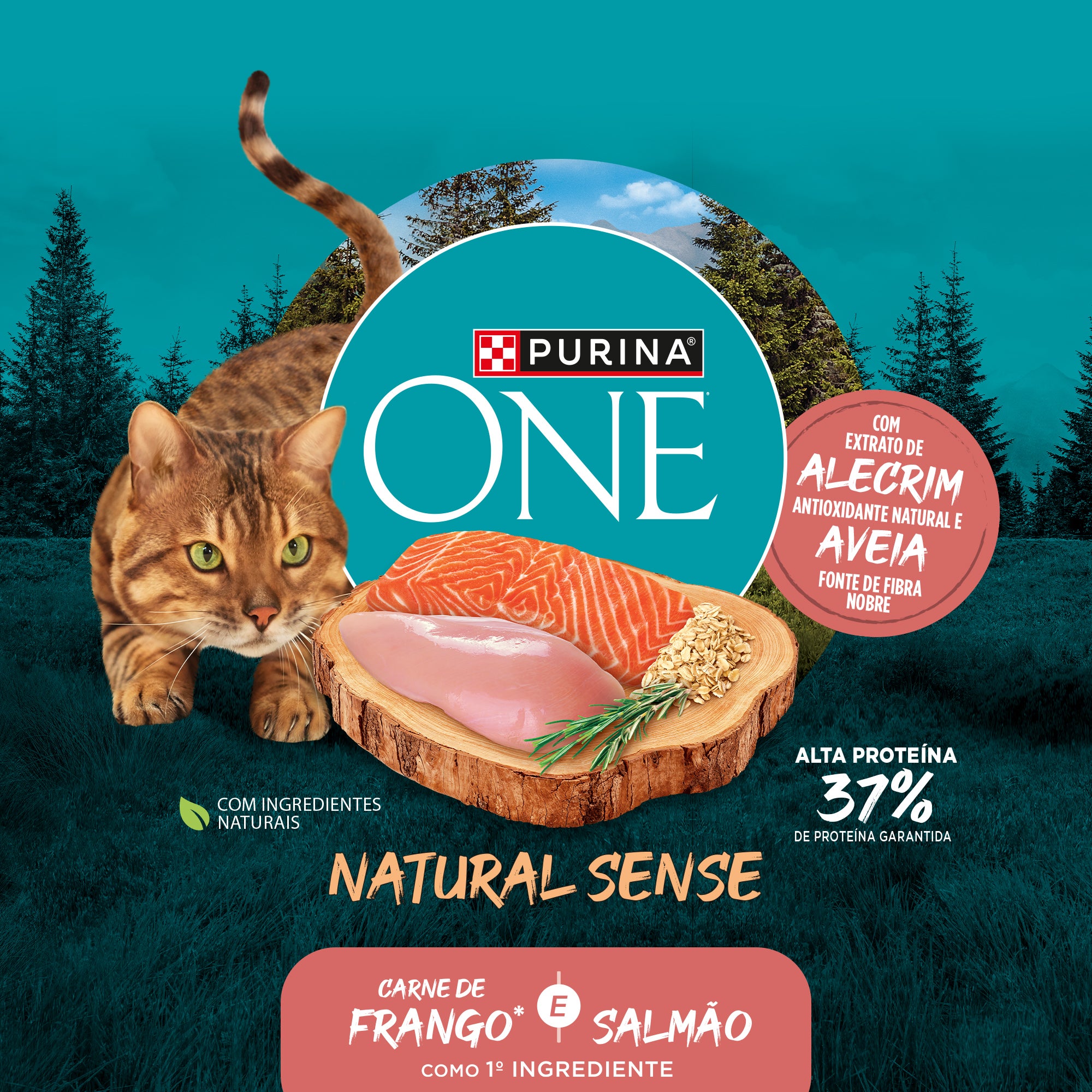 Purina One ração para gatos adultos castrados com frango e salmáo