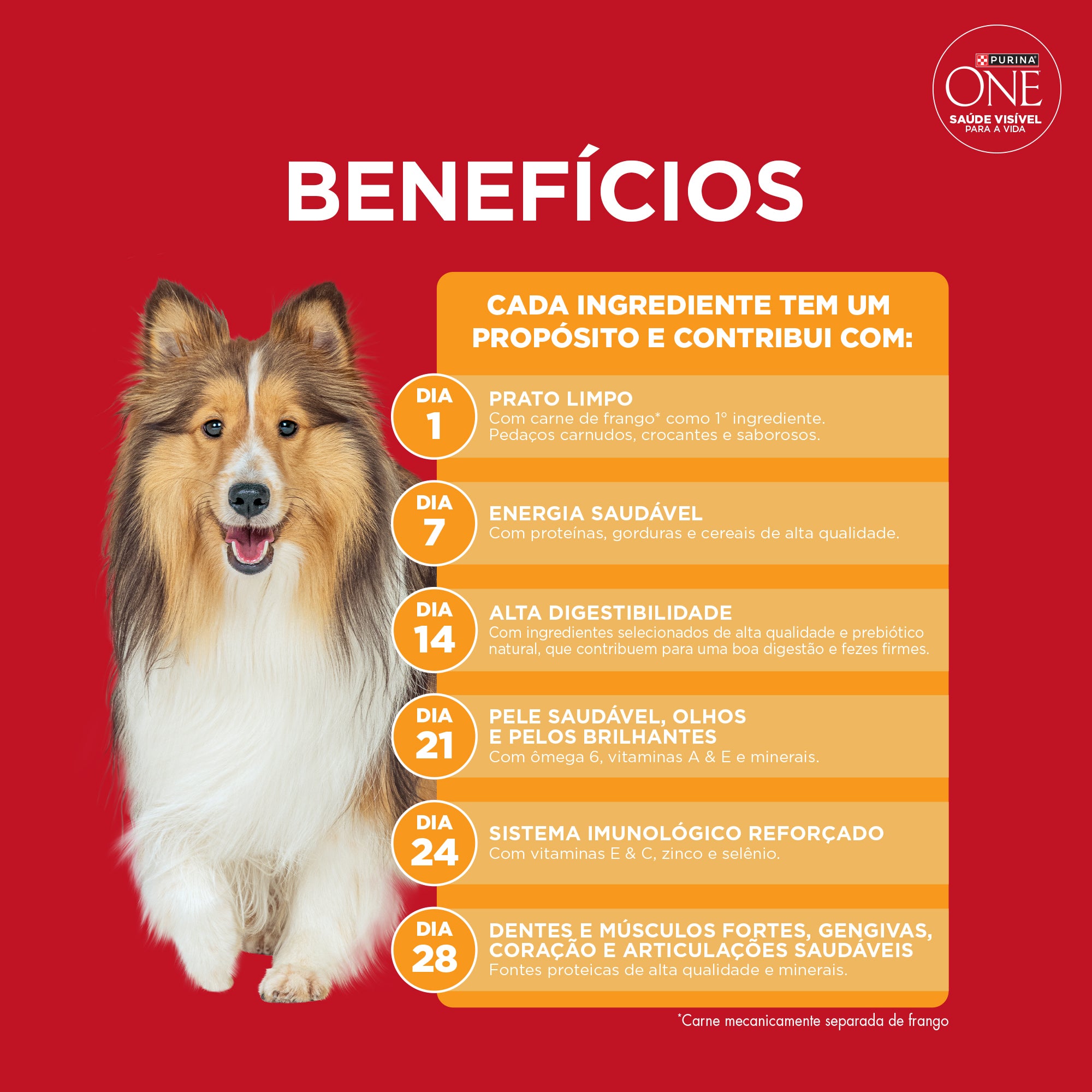 Purina One  ração para cães adultos médios e grandes com frango para ummicrobioma equilibrado