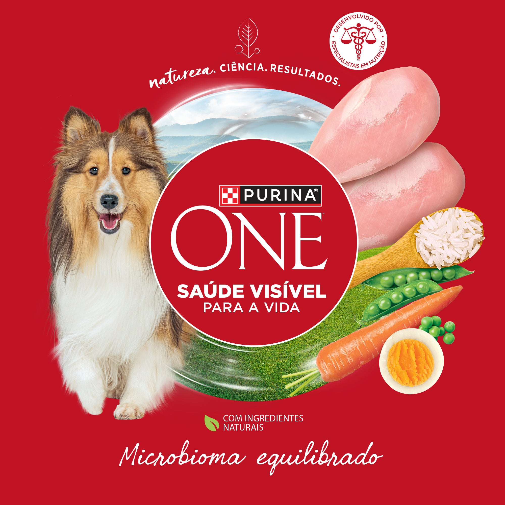 Purina One  ração para cães adultos médios e grandes com frango para ummicrobioma equilibrado