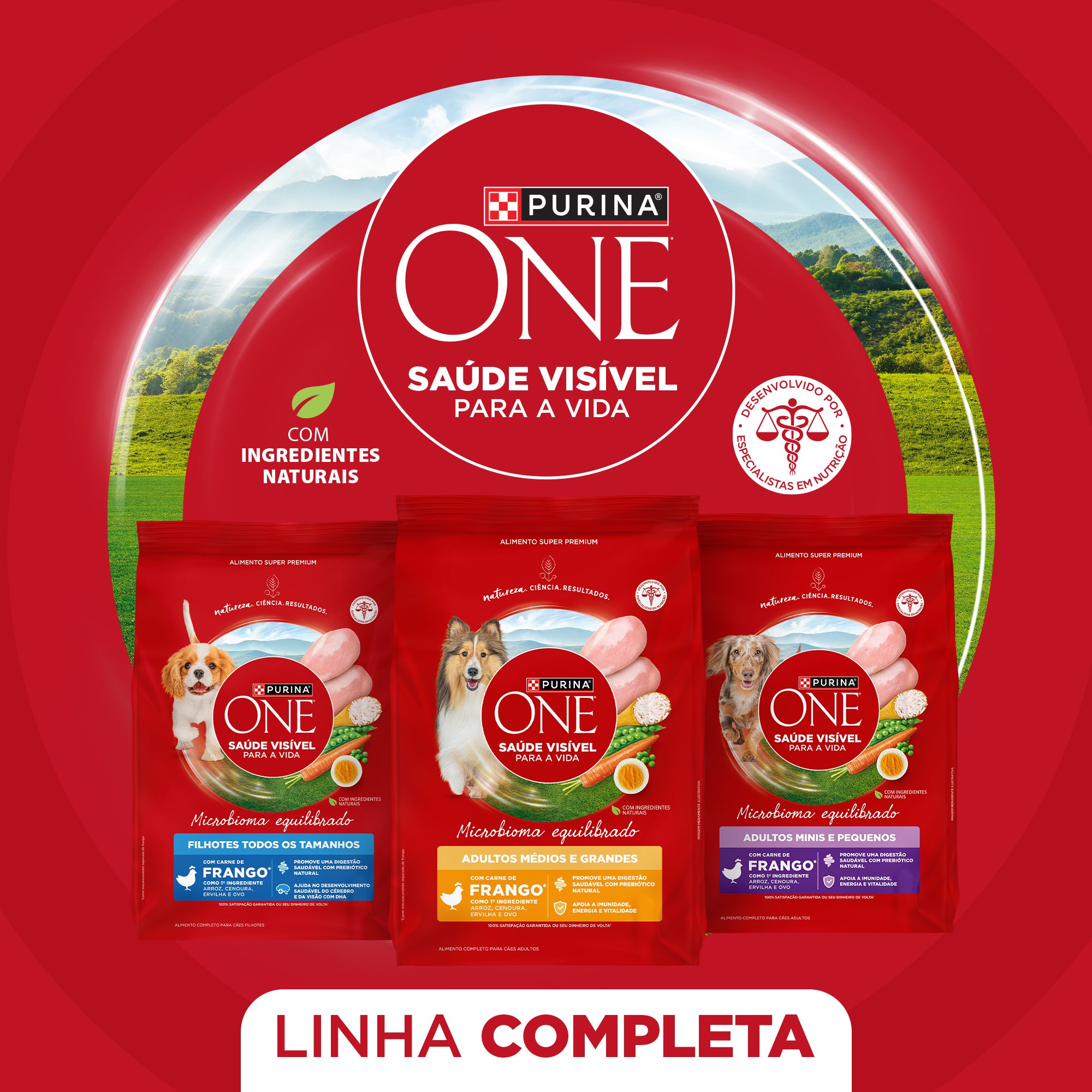 Purina One  ração para cães adultos médios e grandes com frango para ummicrobioma equilibrado