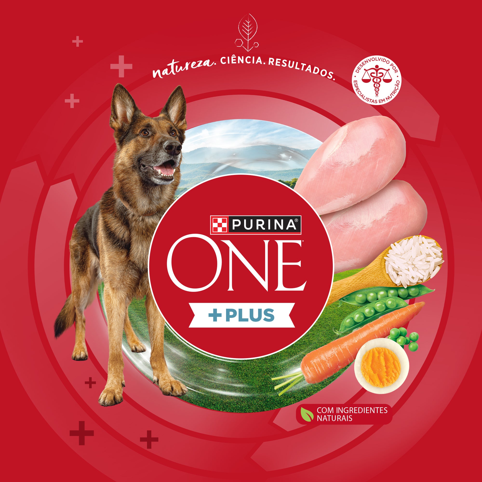 Purina One ração para cães adultos com frango, glicosamina e ômega 3 para articulações saudáveis