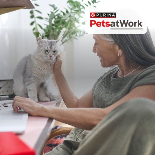 Mulher faz carinho em seu gato no escritório, com o logo Pets at Work da Purina