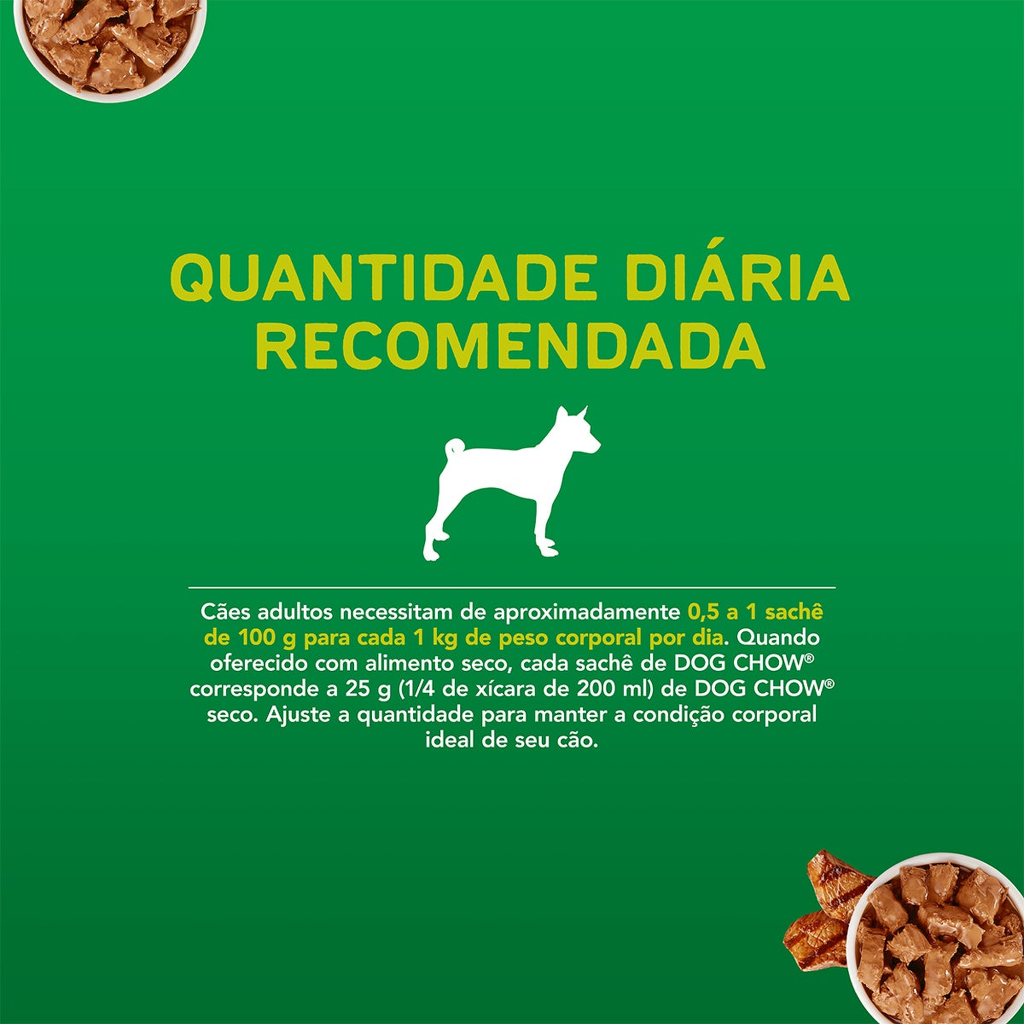 Informações de DOG CHOW® ExtraLife® Ração Úmida para Cão Adulto todos os tamanhos sabor carne