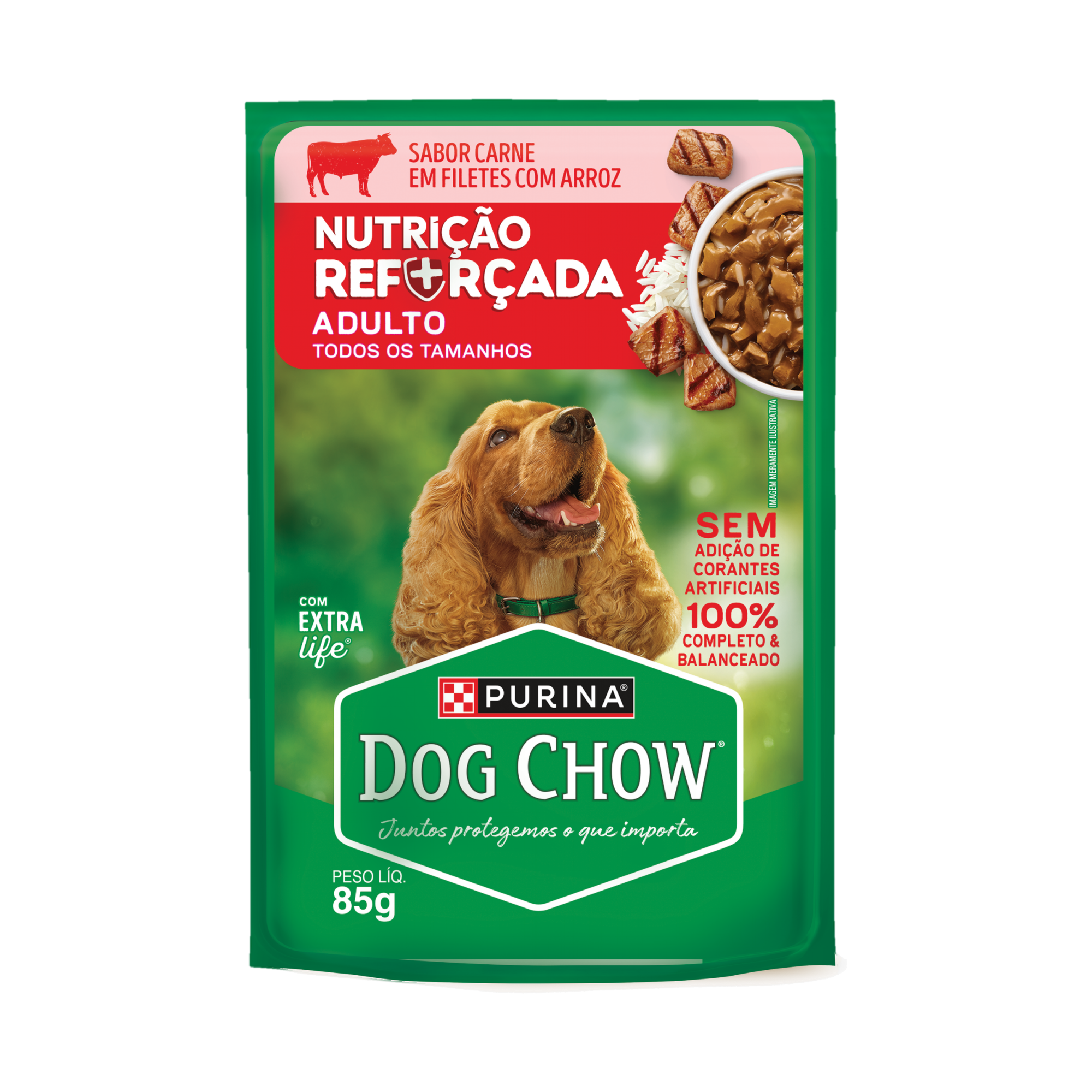 Embalagem de DOG CHOW® NUTRIÇÃO REFORÇADA ADULTO Sabor Carne em Filetes com Arroz 85g, vista frontal
