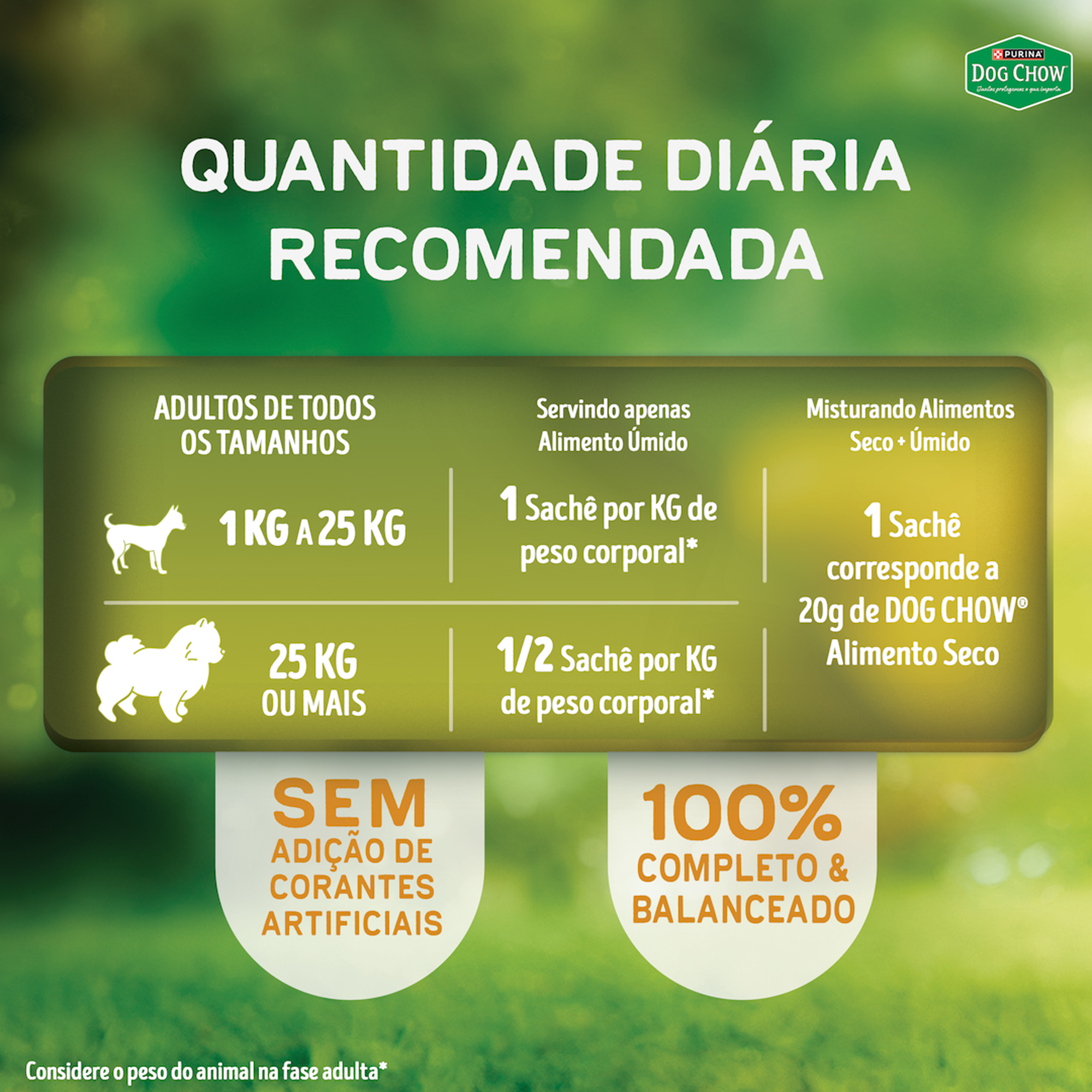 Quantidade diária recomendada de PURINA® DOG CHOW® Nutrição Reforçada Adulto Sabor Frango em Filetes com Arroz 85g