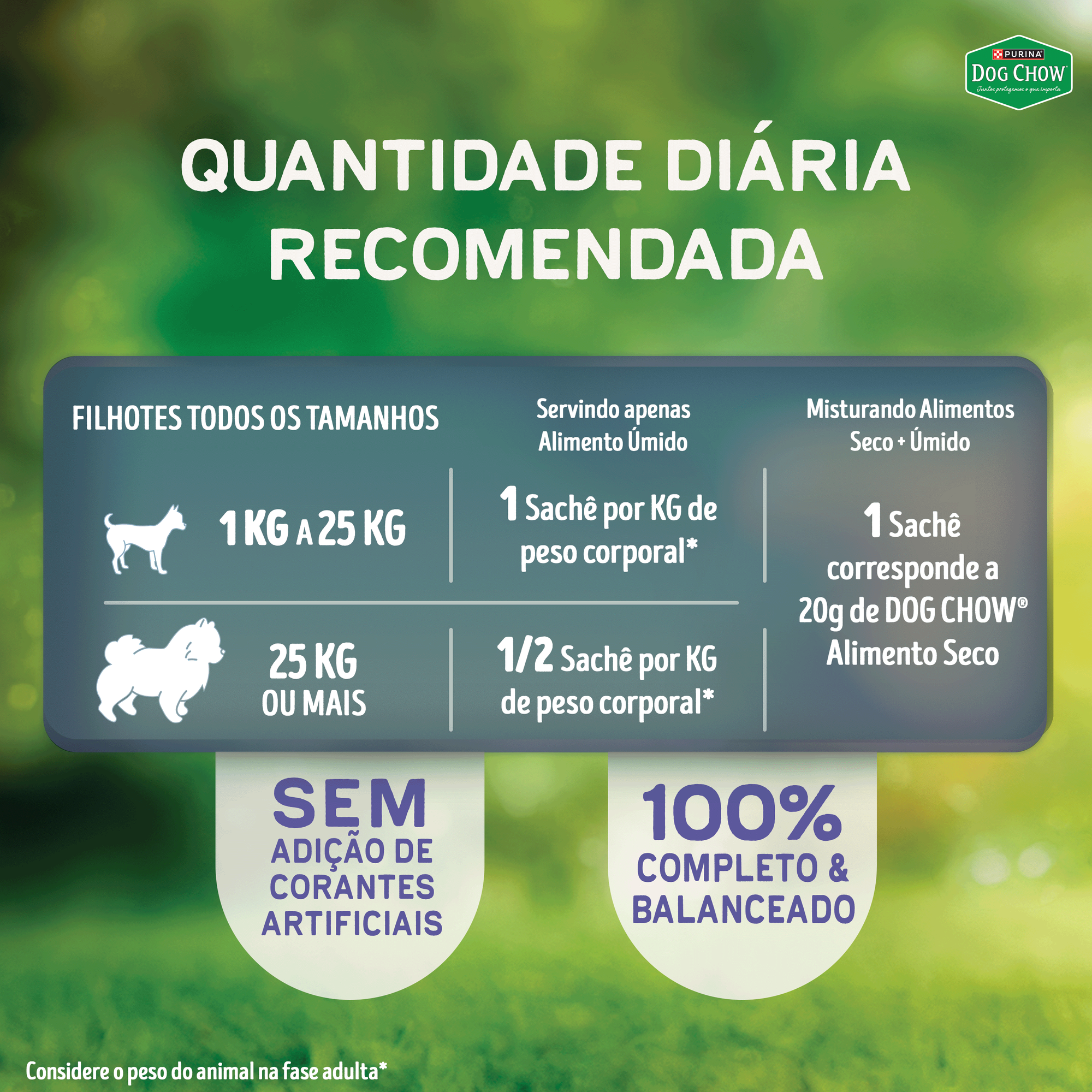 Quantidade diária recomendada de PURINA® DOG CHOW® Ótimo Começo® Filhotes Papinha Sabor Carne, Cenoura, Maçã e Leite 85g