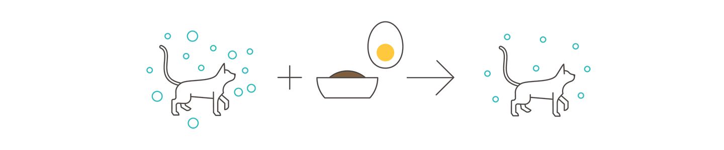 Alt Placeholder