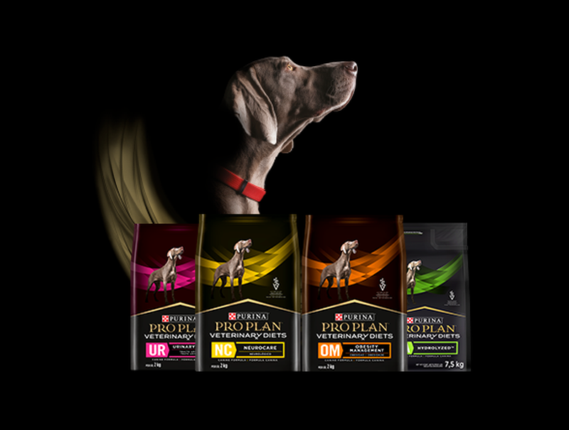 Cão ao lado das embalagens de Purina® Pro Plan® Veterinary Diets para cães
