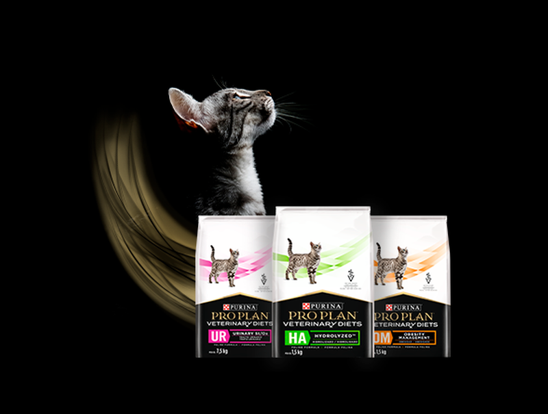 Gato ao lado das embalagens de Purina® Pro Plan® Veterinary Diets para gatos