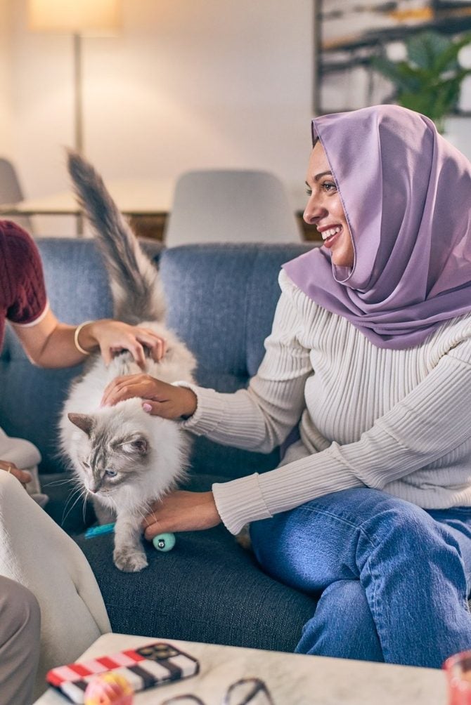 Amigos fazem carinho em um gato no sofá