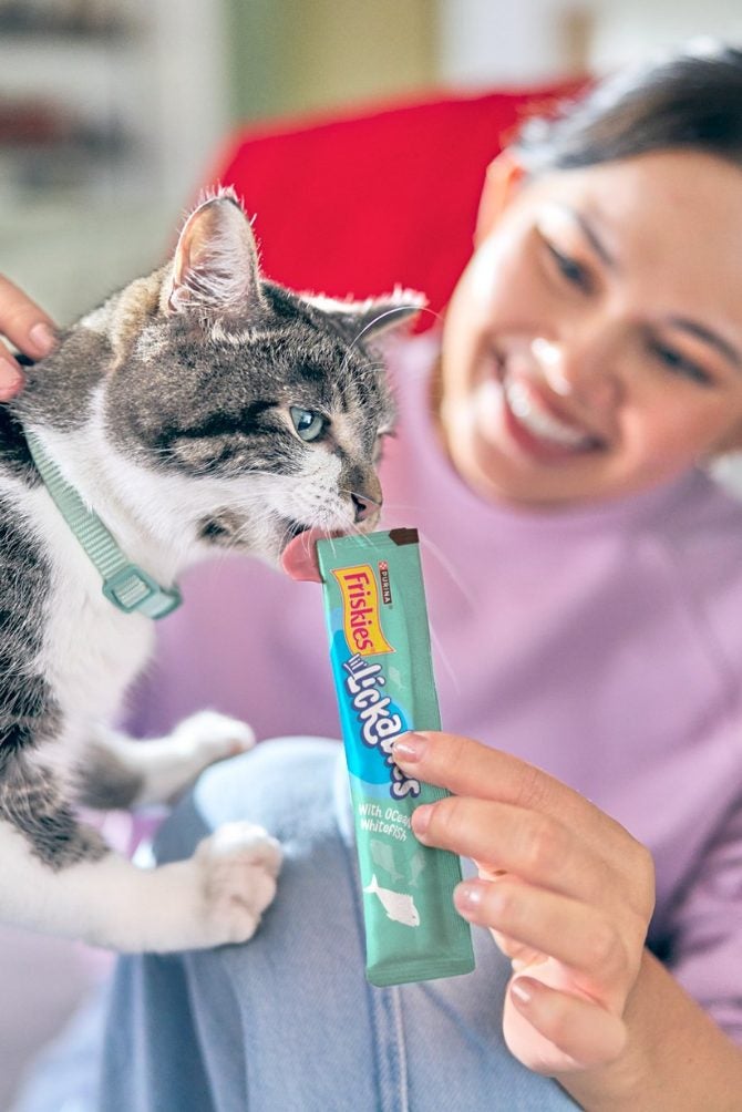 Mulher sorridente dá um petisco ao seu gato