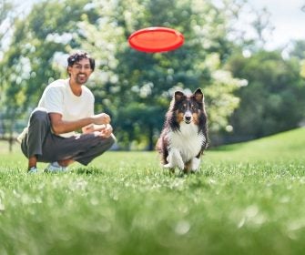 Homem brinca de frisbee com seu cachorro no parque