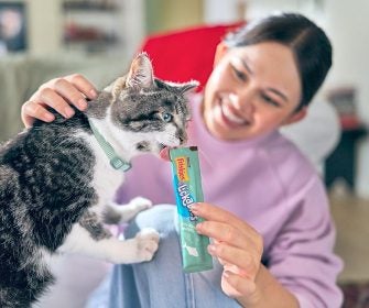 Mulher sorridente dá um petisco ao seu gato