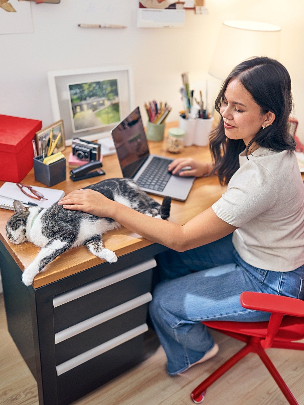 Mulher trabalha no computador com seu gato deitado na mesa
