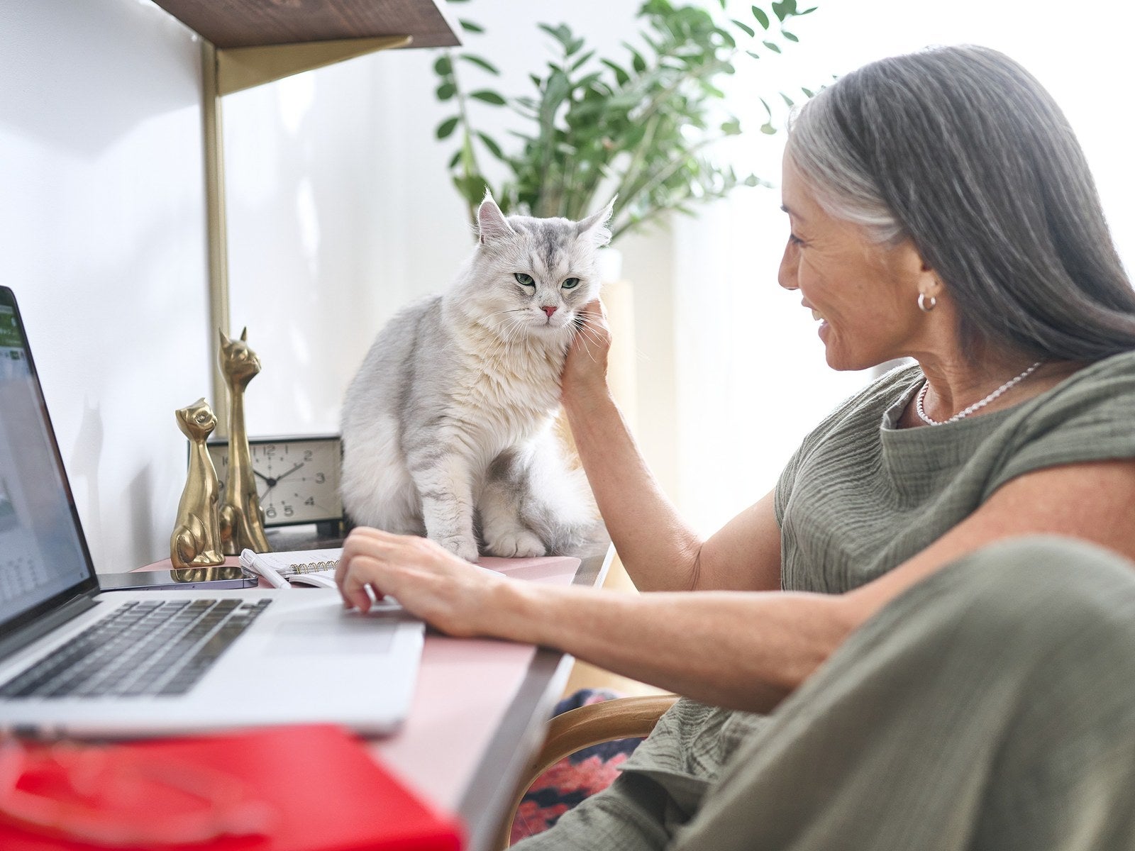 Mulher faz carinho em seu gato enquanto trabalha no computador
