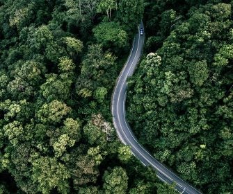 Vista aérea de uma estrada entre árvores