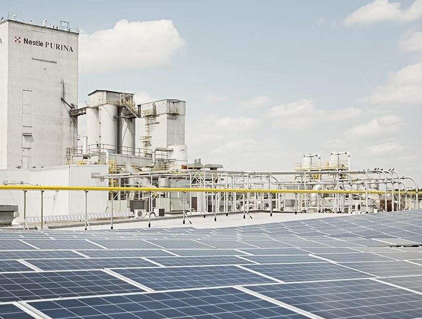 Fábrica da Nestlé Purina com painéis solares