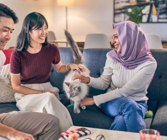 Amigos fazem carinho em um gato no sofá