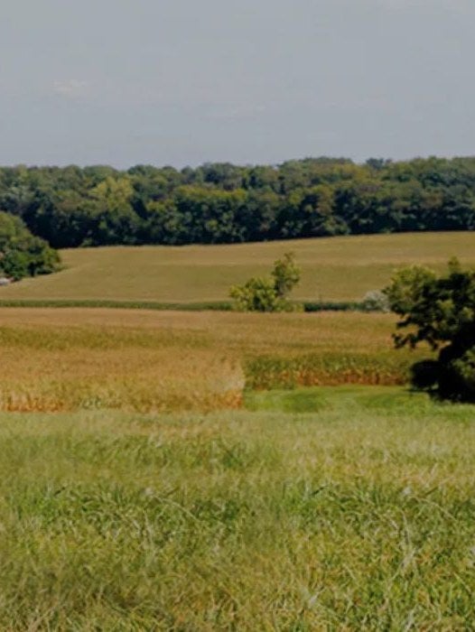 Campo verde com plantações e uma casa de fazenda ao fundo