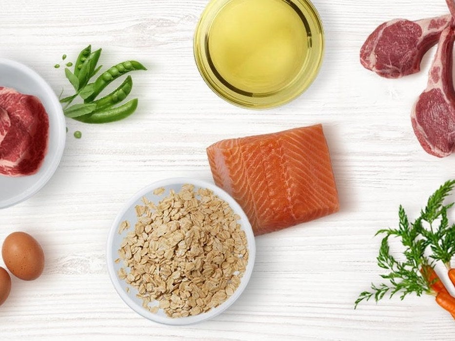 Ingredientes frescos: carne, salmão, ovos, legumes e grãos