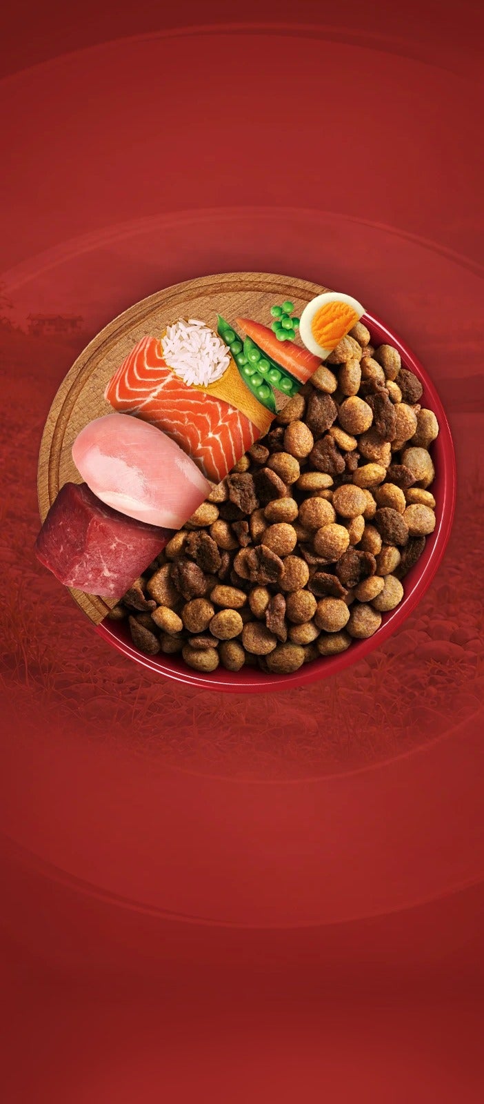 Prato com ração Purina One e ingredientes naturais