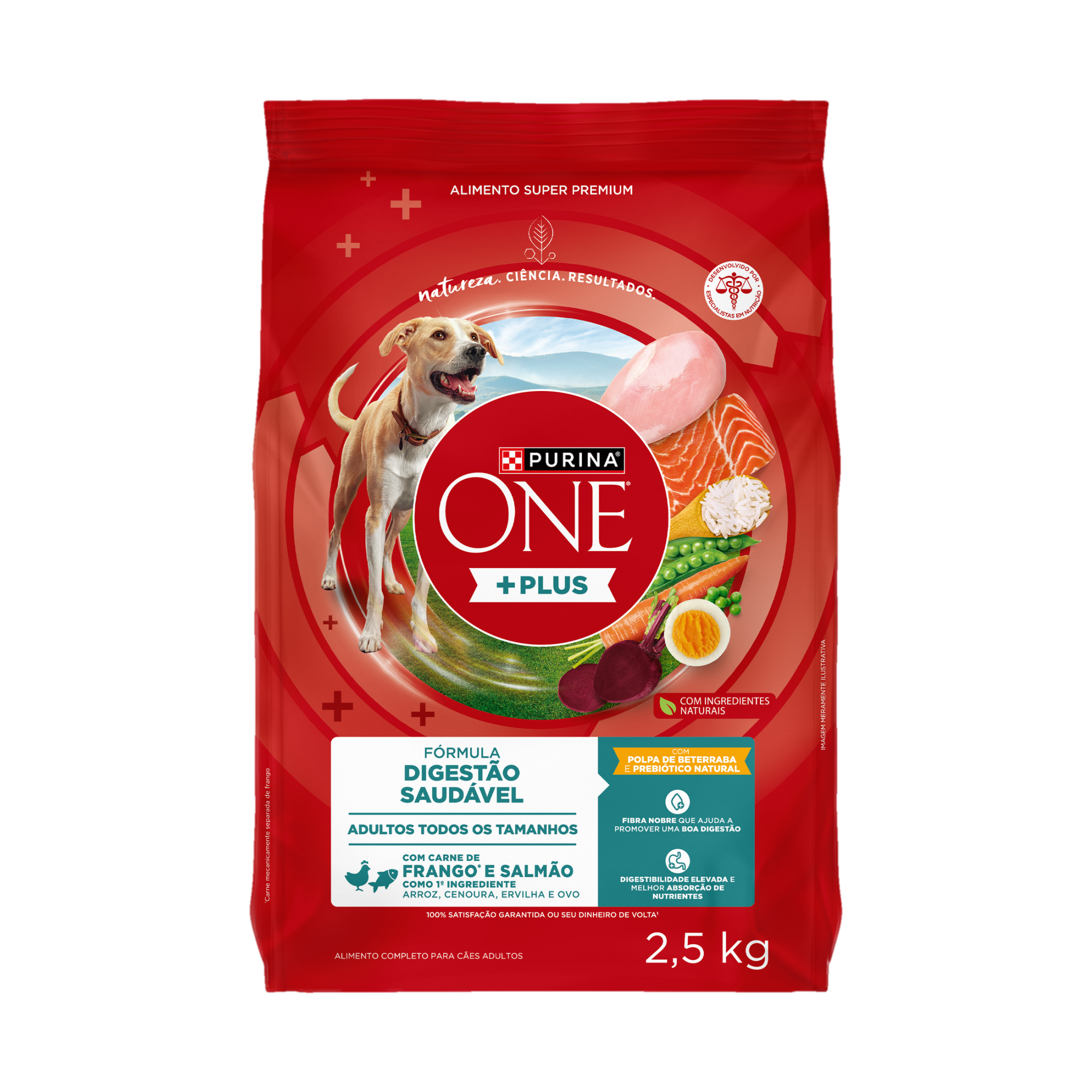 Embalagem de PURINA ONE® Plus Digestão Saudável Cães Adultos Todos os Tamanhos sabor Frango e Salmão, vista frontal