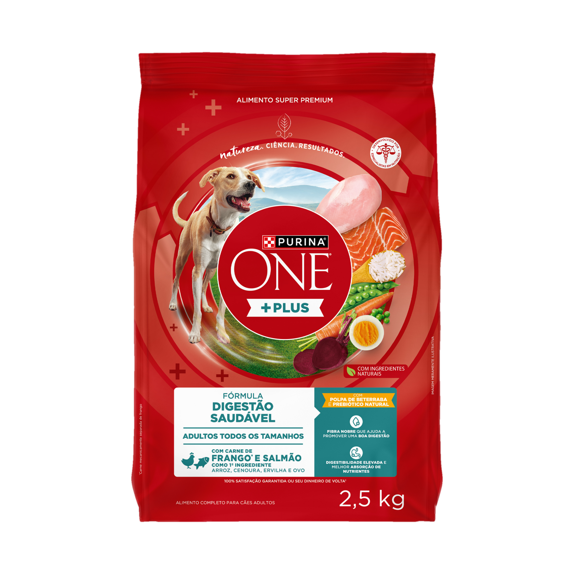 Embalagem de PURINA ONE® Plus Digestão Saudável Cães Adultos Todos os Tamanhos sabor Frango e Salmão, vista frontal