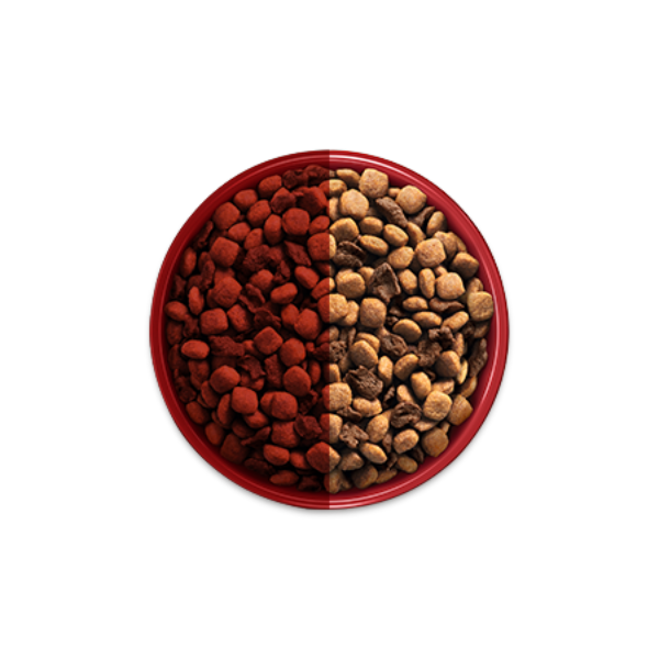 Tigela com metade do alimento anterior e metade de Purina One