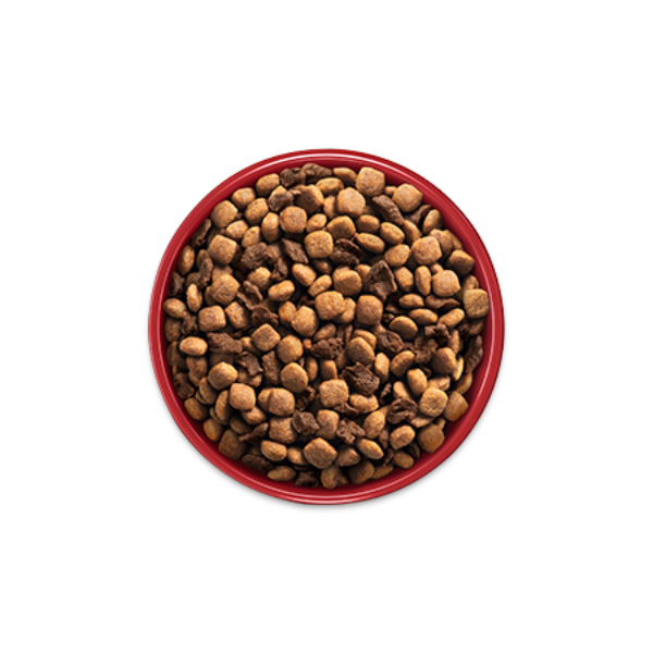Tigela cheia somente com Purina One