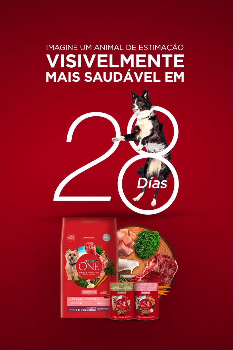 Cão preto e branco saltando sobre o número 28, com embalagens de Purina One para cães e ingredientes frescos