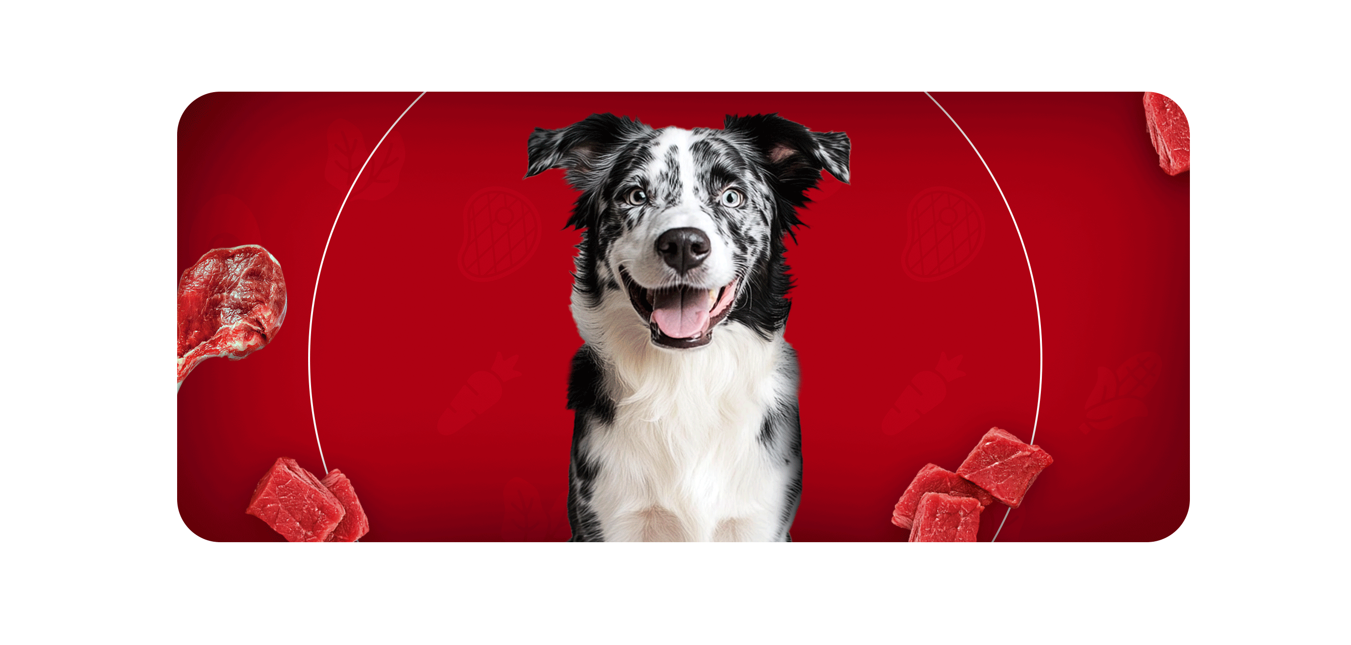 Cão de pelagem preta e branca manchada sorrindo, cercado de pedaços de carne
